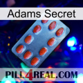 Adams Secret 06